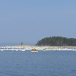 Wie Eisschollen treiben die Findlinge im Wasser