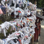 Omikuji - Auf den Zettelchen sind Wahrsagungen geschrieben...