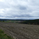 Schöner Ausblick, als sich der Wald wieder lichtet