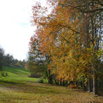 Herbst-Impressionen am Golfplatz