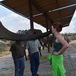 kissed by an elephant :)