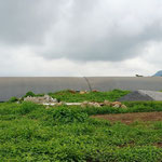 Planta de biogas - biodigestor para gallinaza pura