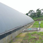 Planta de biogas - biodigestor para gallinaza pura