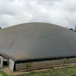 Planta de biogas - biodigestor para gallinaza pura