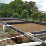 Planta de biogas - biodigestor