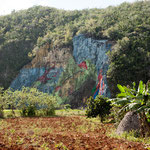 Dieses monumentale Felsengemälde hat Fidel Castro höchst persönlich in Auftrag gegeben