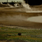 Norris Geyser Basin - die Teufelsküche - unheimlich aber ....