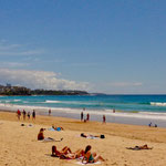 der weltberühmte "Manly Beach"