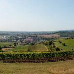 ...und umliegende Weinberge...