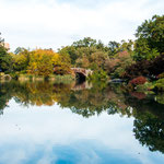 ...mitten in Manhatten der große und tolle Central Park...