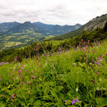 Die nächsten Bilder zeigen Eindrücke der wunderschönen Allgäuer Alpen