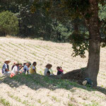 die wohlverdiente Pause im Schatten und große Neugier