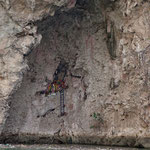 Eine Grotte für die "Virgin de Guadalupe"