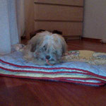 Chica Coco Lola bei Familie Sulzbach