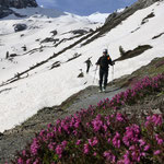 einfach die Tour und die Natur wirken lassen