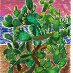 Cactus à saint Raphael, Fréjus. Papier canson 14,8x21cm. 2020
