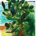 Beau cactus fleuri à saint Raphael, Fréjus. Papier canson 14,8x21cm. 2020