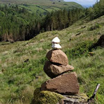 Cairn de KERNH  franco-suisse. Vive les pigeons voyageurs