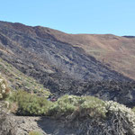 Lavafelder im Teide