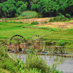 Traditionelle Wasserräder in einem Fluss, die zur Bewässerung der Reisfelder genutzt werden und ein typisches Element der Landschaft sind.