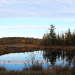 Wildnis (Kanada 2014)