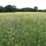 Niederwildparadies