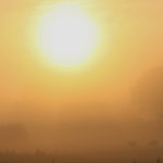 im Nebel