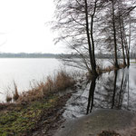 Marschwiesen unter Wasser