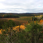 Indian Summer (Kanada 2014)