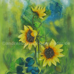 "Florale Impressionen Sonnenblume", 80 cm x 100 cm