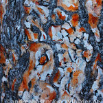 "Kieferinde 1", 60 cm x 80 cm, Acryl, Spachtelmasse, Marmormehl (in Privatbesitz)