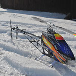 T-Rex 700 E DFC (Ruhe in Frieden)