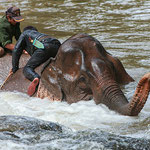 Mondulkiri