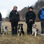 kleines Welpentreffen im Rahmen eines RH-Trainings in Arnfels