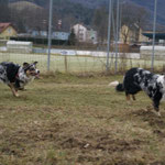 Patch und Murphy