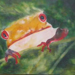 Frosch. 2008, 3-teilig, Acryl/LW, 30 x 40, 40 x 60, 30 x 40 cm