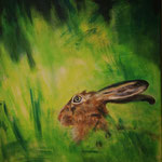 Feldhase, 2008.Acryl/LW, 50 x 60 cm