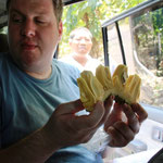 Jackfruit