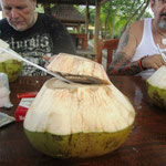 Ganz frischer Kokosnusssaft