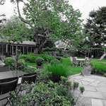 vue en N&B + vert sur le jardin. Merci Nicole pour la photo !
