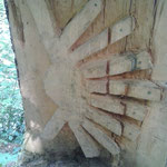 Pilgermuschel aus Holz