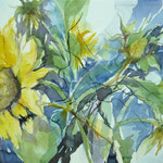 Sonnenblumen...Aquarell, 30 x 60 cm / R. 50 x 80cm, inkl. Rahmen