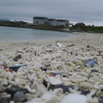 Sommarøy et sa plage de corail