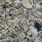 Sommarøy et sa plage de corail