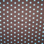 Stern 17 - Feincord braun mit hellblauen Sternen