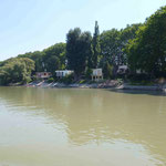 Rive du Danube