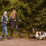 Fortbildung Hundetrainer Hamburg