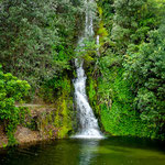 Wasserfall in Napier