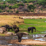 Manada de elefantes en el río Tarangire que da nombre al parque.