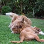 Kuscheln... Ayuna und Merlin